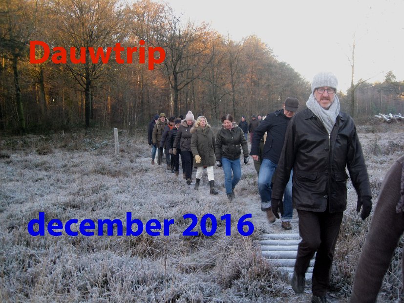 Dauwtrip2016