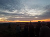 IMG-20210812-WA0000